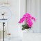 2-Pack 20" Fuchsia Phalaenopsis Orchids | Artificial Flowers in Sleek Round White Pots – Vibrant Modern Home & Office Decor